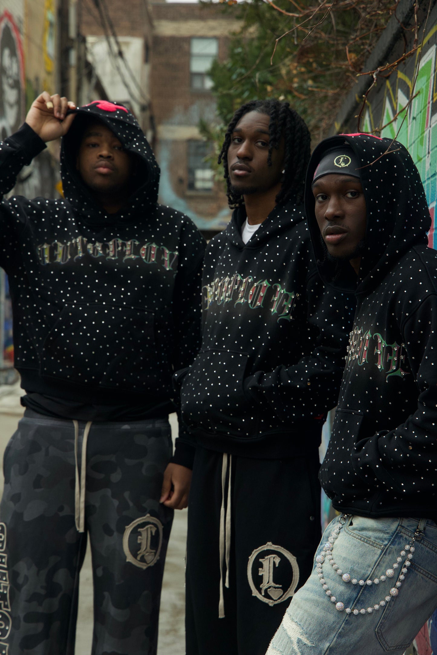 “Before We Fade” HOODIE