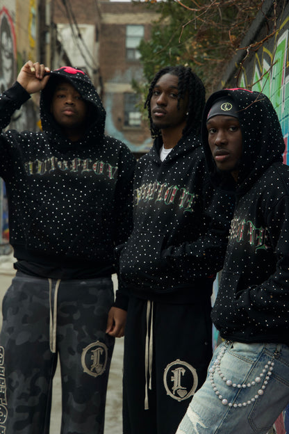 “Before We Fade” HOODIE