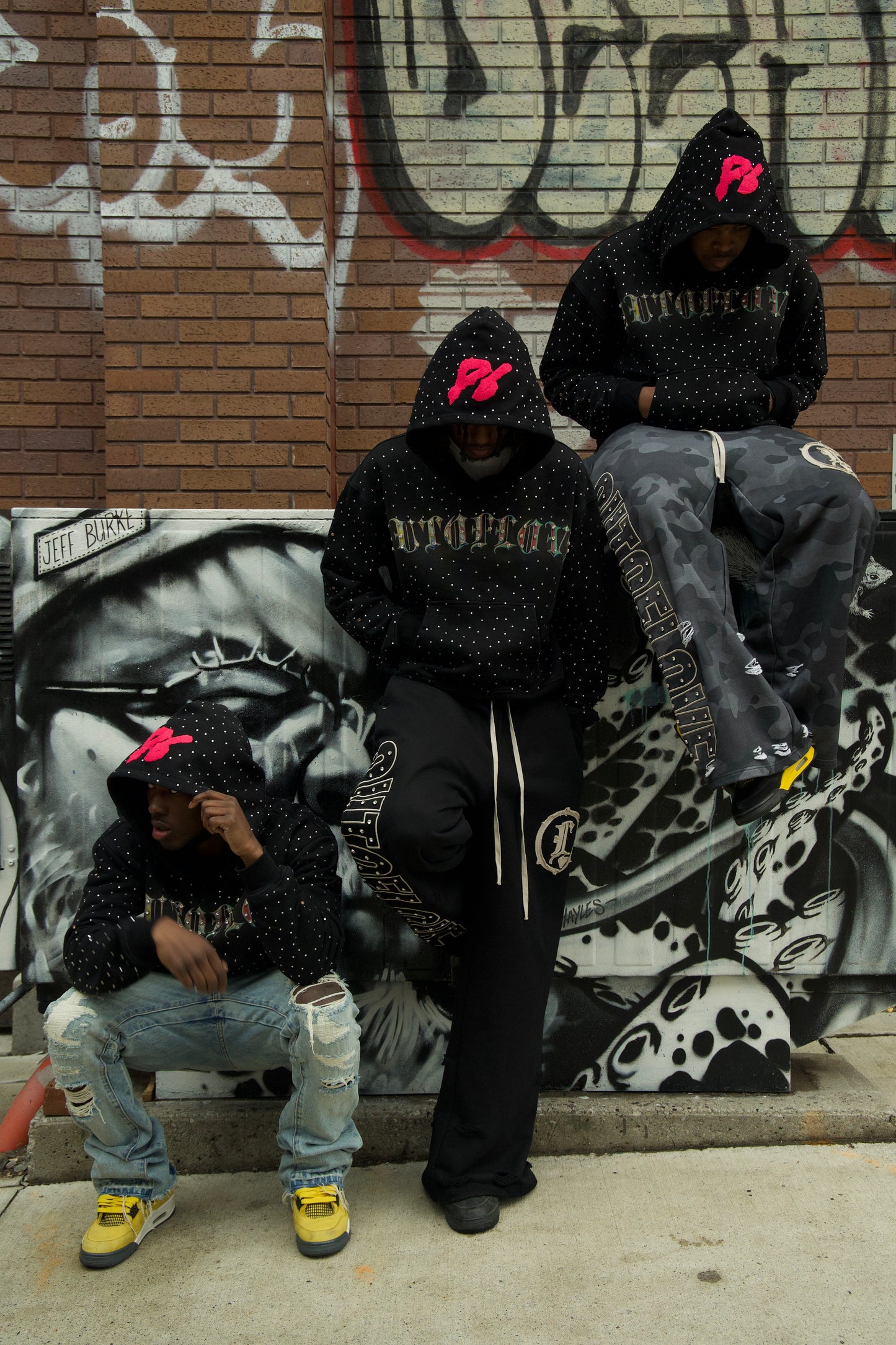“Before We Fade” HOODIE